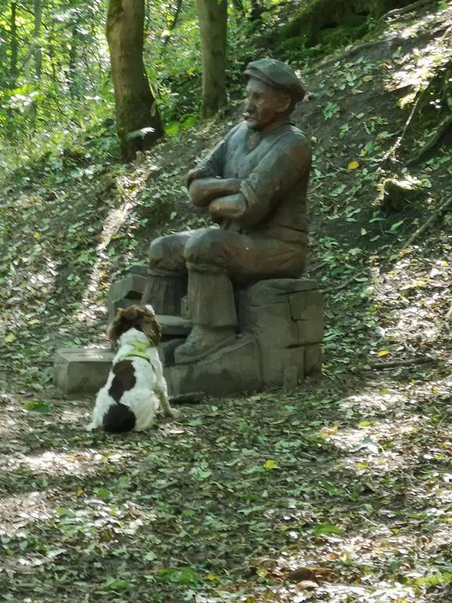 Illustration de l'article : La vidéo de ce chien perplexe face à une statue refusant de lui lancer le bâton est un pur moment de bonheur